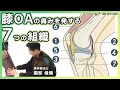 【膝OA】膝の痛みを発する7つの組織（SONOBE VLOG）