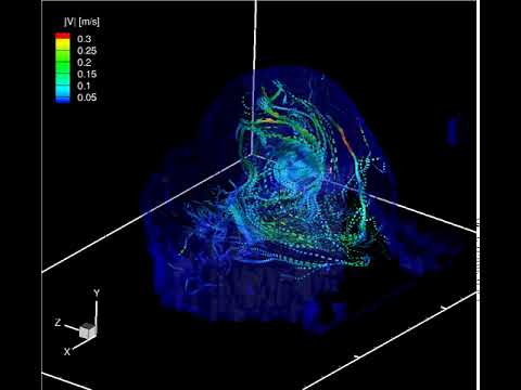 Bifurcation aneurysm PIV reconstructed flow animation