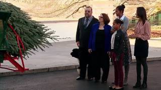 The First Lady Receives the 2011 White House Christmas Tree