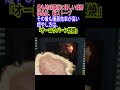 #地球環境に最も優しい暖房 #薪ストーブ #オーロラバーン燃焼 #二酸化炭素実質0 #究極の暖房はこれ #癒しにも
