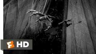 Creature from the Black Lagoon (3\/10) Movie CLIP - The Creature Attacks (1954) HD