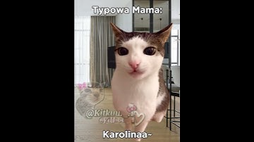 Thumbnail of Typowa mama 😂 #cats #śmieszne#greenscreen #cat #trend#memes#funny#memy #catmeme