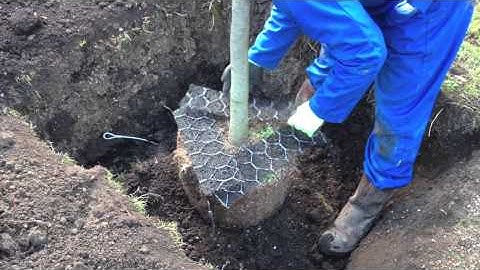 Platipus D MAN Installation Instructions