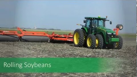 CropTalk - Production - Rolling Beans