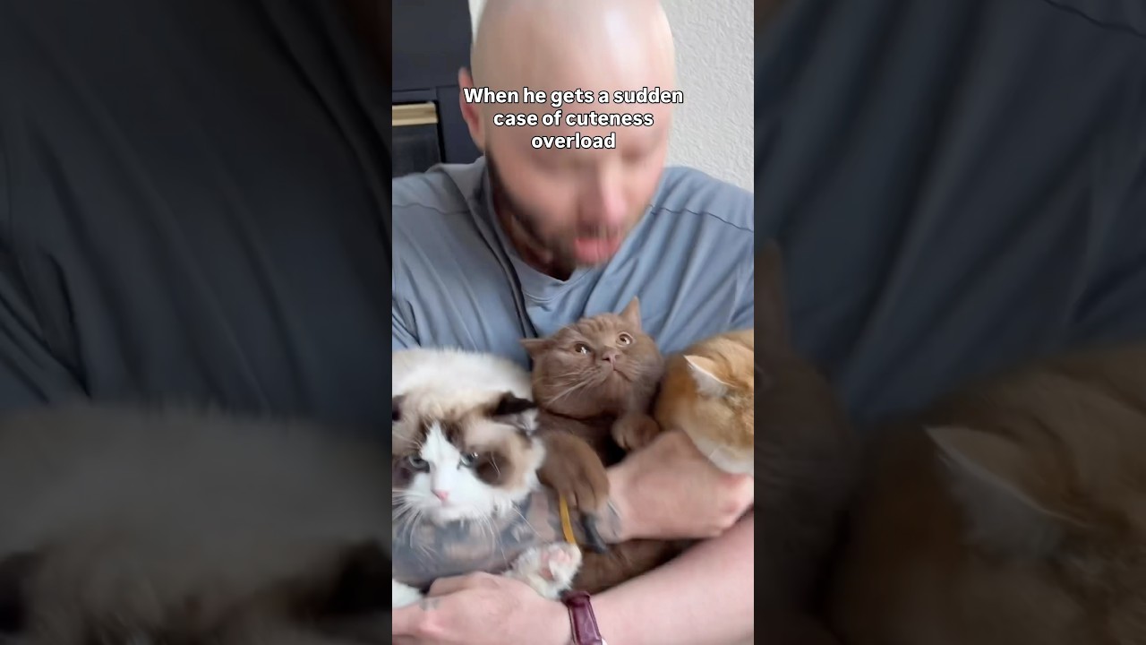 ITS TOO MUCH CUTENESSSSSSS