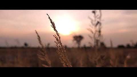 Cinematic Video (Log) recorded from smartphone POCO F3 #PocoF3 #LOGvideo #Cinematic