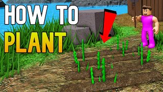 How to PLANT and FARM in The Survival Game 🌾🥕 [Roblox 2024] screenshot 1