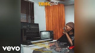 TribeSoul - Uthando Lwam (Official Audio) ft. Nele SA