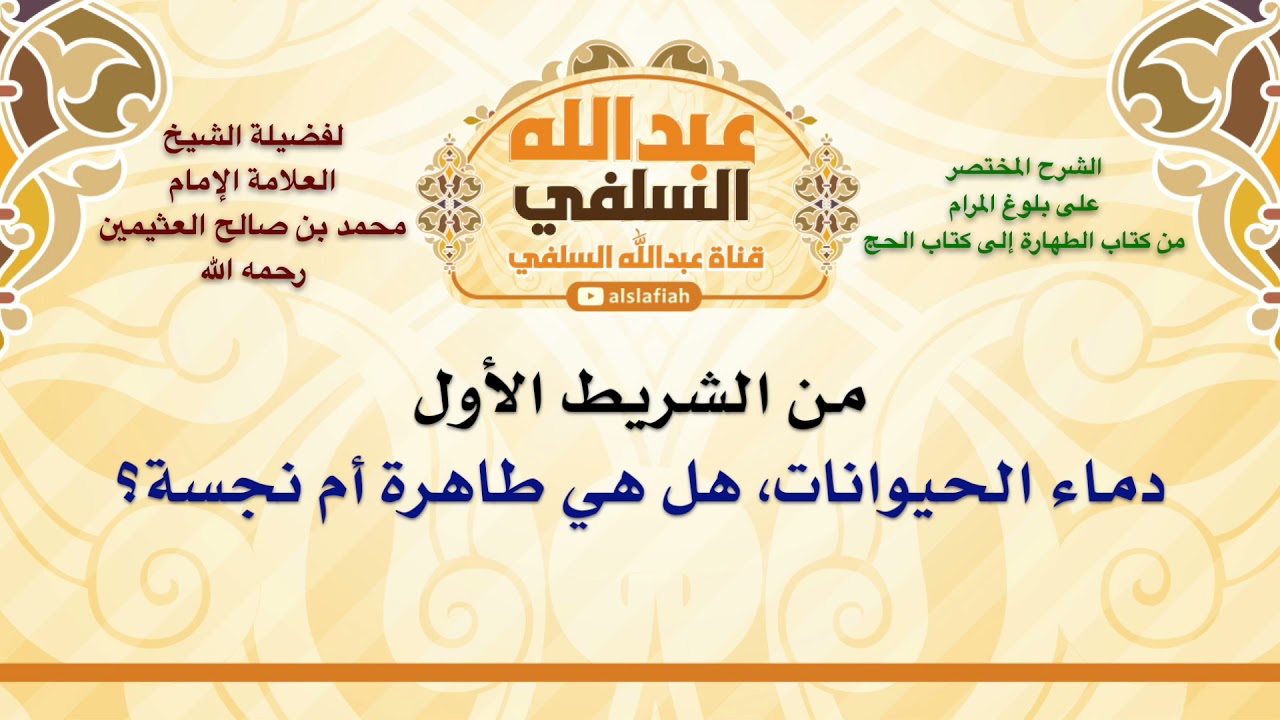 الشيخ ابن عثيمين : دماء الحيوانات، هل هي طاهرة أم نجسة؟