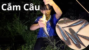 Cá Lóc Nấu Cháo Nấm Rơm | Chân Chất Miền Quê, Buổi Cắm Câu Của Ông Cháu tui - Cuộc Sống Miền Tây