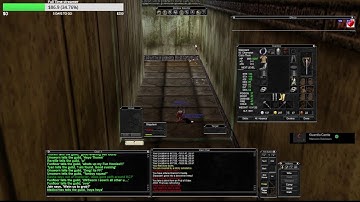 PROJECT QUARM GUILD - LOST & SELF FOUND