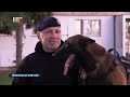 K9 u službi sigurnosti