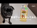 これで滑りは安心!?　リンレイの犬用ワックスを施工してみた