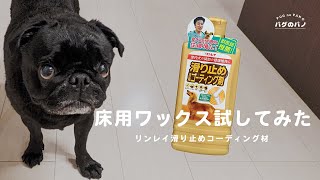 これで滑りは安心!?　リンレイの犬用ワックスを施工してみた