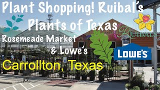31: 🍃🌱Plant Shopping With Me - Ruibal’s Plants of Texas Rosemeade Market + Lowe’s