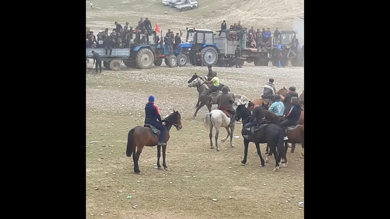 Истаравшан таджикистан. Бузкаши таджикистан 2024. Калаи мирзобой таджикистан. Бузкаши чорбог 2022 панчакент. Улок купкари 2023 дронда олингана.