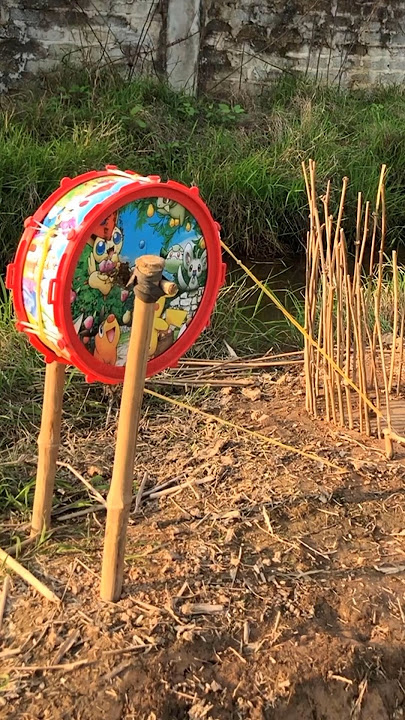 Use a toy drum as a bird trap