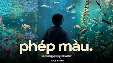 Phép Màu, Lễ Đường - Chẳng Phải Phép Màu Vậy Sao♬ BXH Nhạc Lofi Chill Xu Hướng CaoTri Mix Triệu View