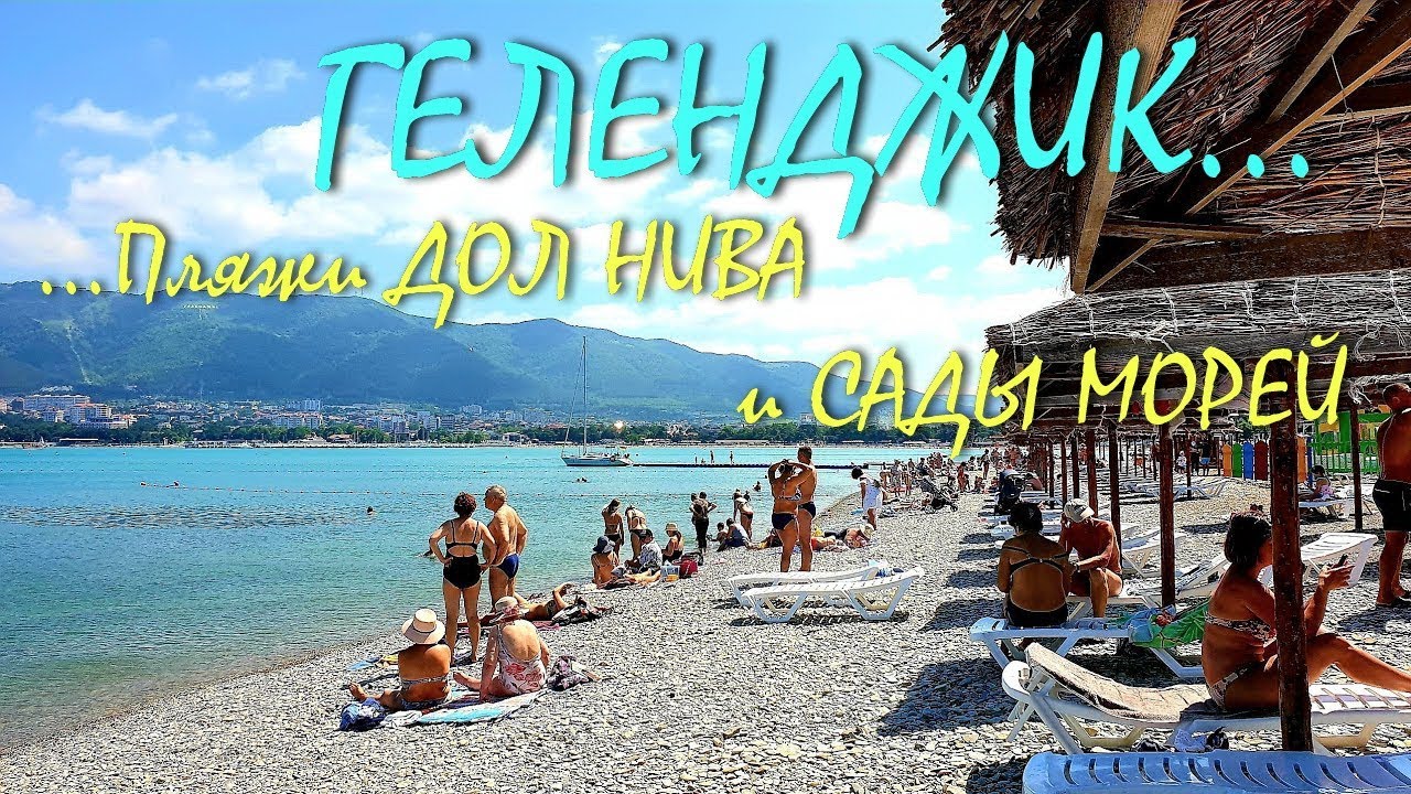 Пляж нива в геленджике Пляж нива в геленджике