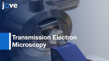 TEM of Ultra thin Sections of Microorganisms|Protocol Preview