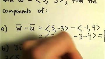 Vector Addition and Scalar Multiplication, Example 1