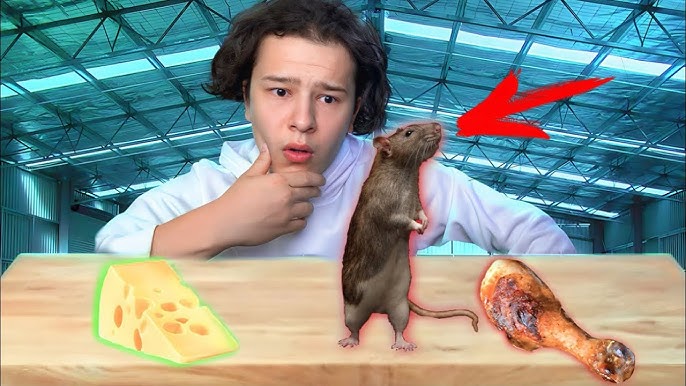 Suratdagi vaginaning holati Phoebe Halliwell porno