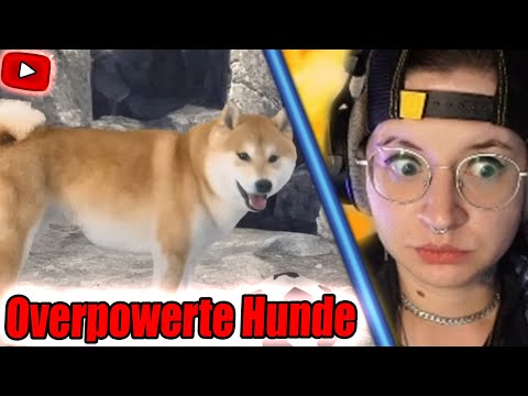Hunde können auch was • ElizaScarlet React