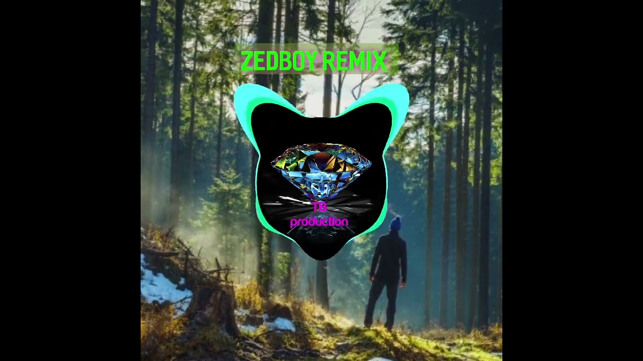 Snapchat - Ruger 《Zedboy remix 》2022_🇻🇺🇻🇺