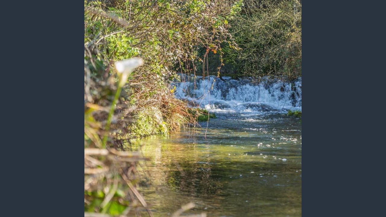 ya he llegado a la casa del arroyo, te quiero