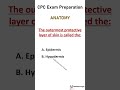 CPC Exams Preparation Anatomy #cpcexamsprep #education #medicalcoding