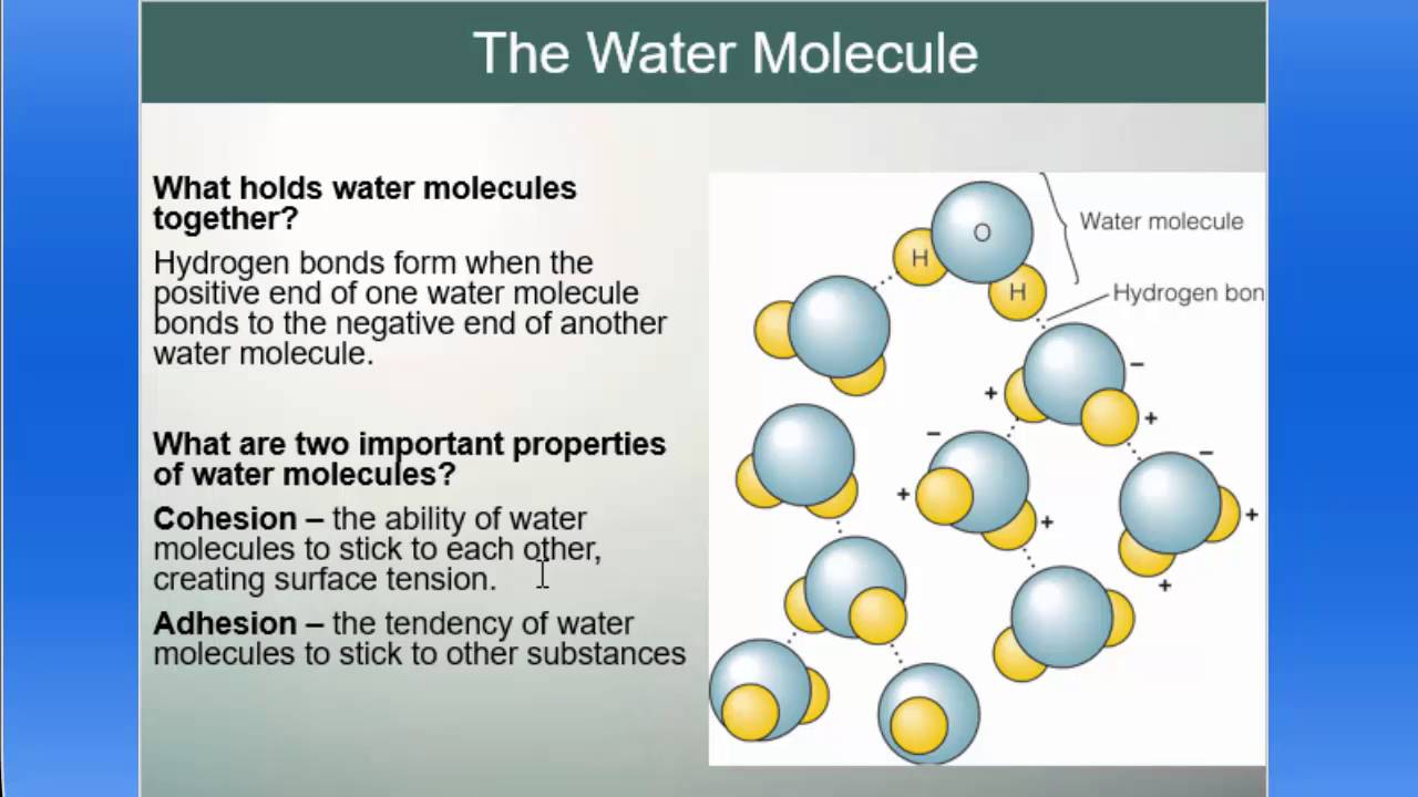 Oceanography Chapter 6 Lecture