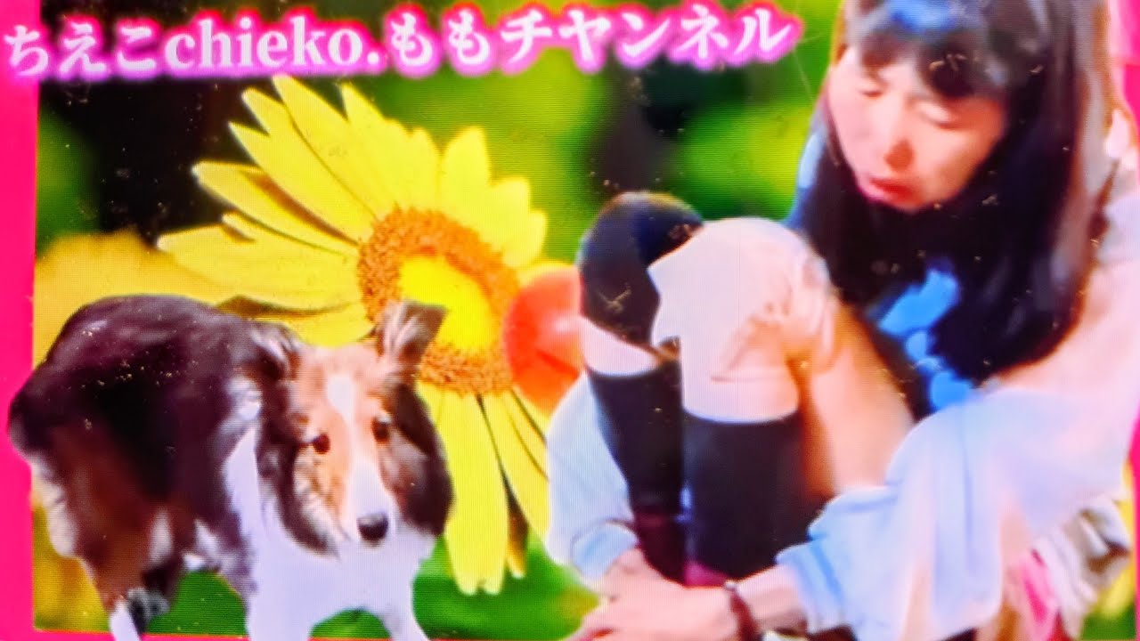 夜の部始めます