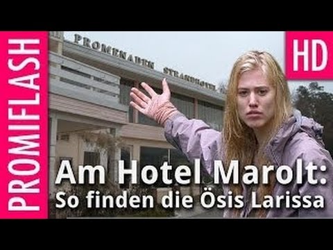 Dschungel-Hype am Hotel