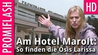 Dschungel-Hype am Hotel Marolt: So stehen die Ösis zur Camp-Sissi