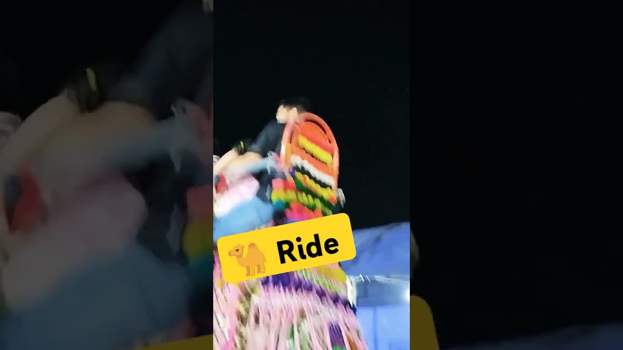 First Time Camel Ride || First Camel Ride Experience