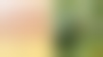 How To Identify and Control Bud Rot or Gray Mold Botrytis cinerea on Cannabis Plants