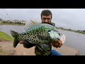 I FOUND HUGE FALL CRAPPIE!
