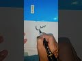 Arabic Letter SEEN س Learn Arabic Alphabets Arabic Letter SEEN س Learn Arabic Alphabets