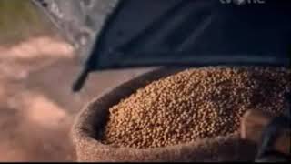 Iklan Kecap Bango Bumbu - Ayam Goreng Bacem (2014-15) @ tvOne, RCTI, MNCTV, Trans TV, & Trans 7