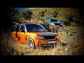 I Found This Range Rover Graveyard, This Place Was Really Apocalyptic...