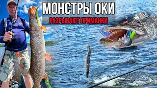 Подобрали КЛЮЧ к ТОЛСТЫМ ЩУКАМ | Продолжаем осваивать GARMIN PANOPTIX | ТРОФЕЙНАЯ РЫБАЛКА НА ОКЕ