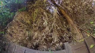 Tree And Shrub Cutting Required.