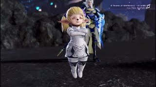 はじめてのシャントット