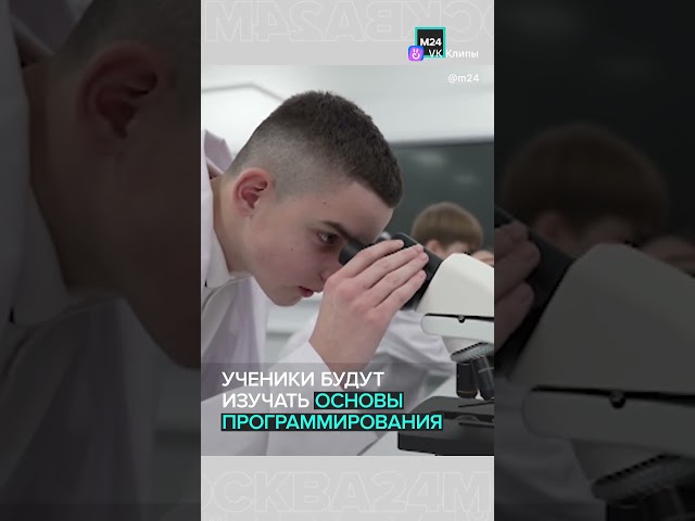 Хозяева приносят котам сугробы домой: милый тренд набирает популярность