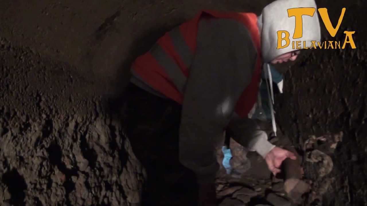 BSS czyli Bielawa schronem stoi!