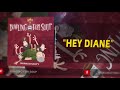 Miniature de la vidéo de la chanson Hey Diane