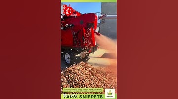 Super Efficient! Corn Thresher Sucks and Separates in Seconds. #shortsvideo