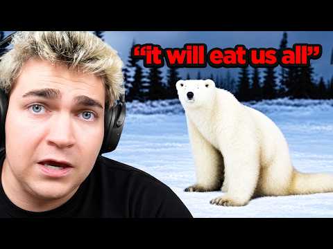 Something's Wrong With This Polar Bear..