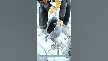 Pouring Concrete for Railroad Track Joints- Satisfying jobs and machinery in the world