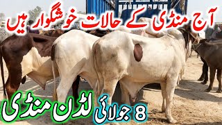 Today Luddan Cow Mandi Fresh Latest Update | Sahiwal Cholistani Bachre & Katto Qurbani Animals 2027